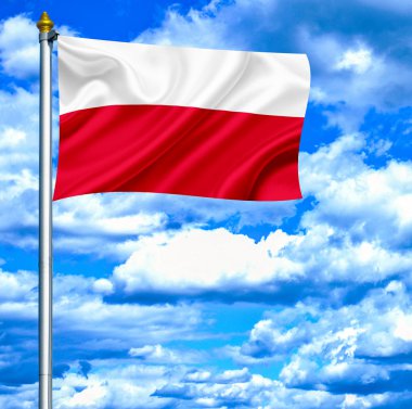 Mavi gökyüzü karşı bayrak sallayarak Polonya