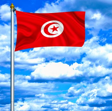 Mavi gökyüzü karşı bayrak sallayarak Tunus