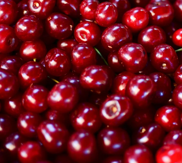 Groupd of fresh cherries macro shot — Stock Photo, Image