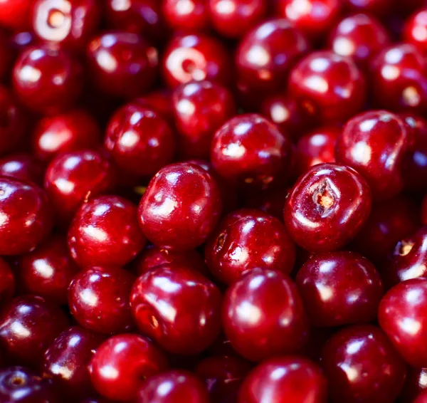 Red cherries macro shot — Stock Photo, Image