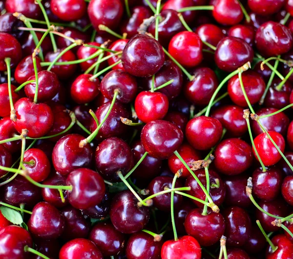 stock image Cherry background