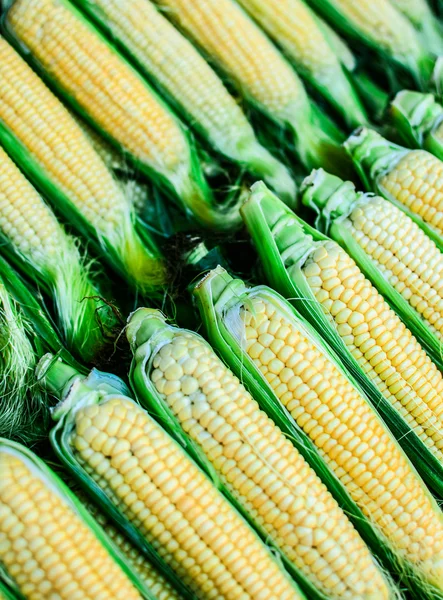 Čerstvé zeleniny kukuřičné klásky — Stock fotografie