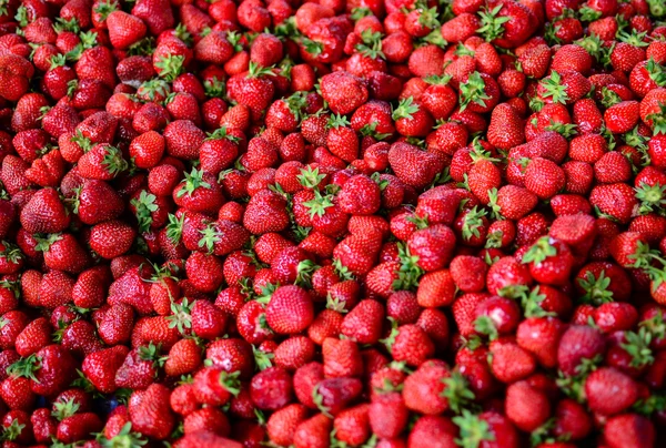 Gruppe frischer Erdbeeren — Stockfoto
