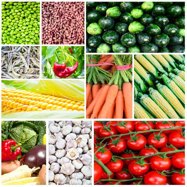 Gemüsecollage - Gruppe verschiedener frischer Gemüsesorten — Stockfoto