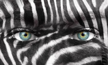 Human face with Zebra pattern - Save endangered species concept clipart