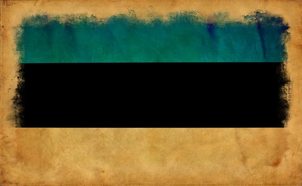 Прапор Естонії гранж — стокове фото