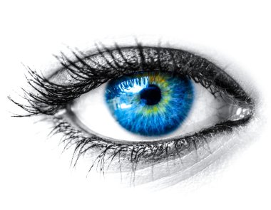 Blue woman eye macro shot