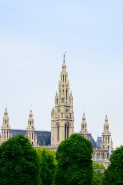 Viyana Belediye Binası (Rathaus) Avusturya