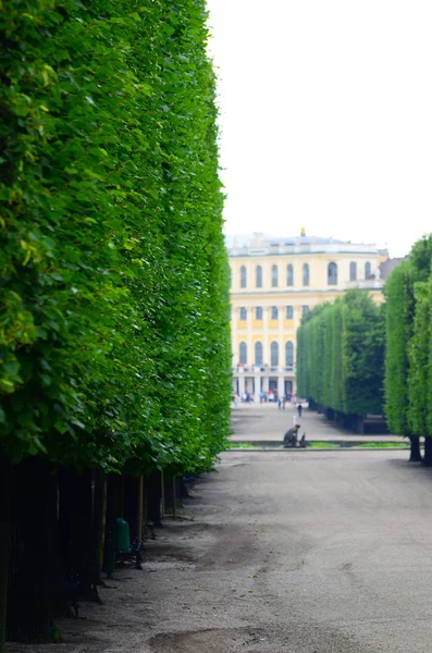 Schonbrunn palota Bécsben Ausztria — Stock Fotó