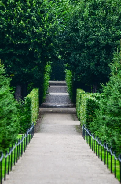 Piękny park przy pałacu schonbrunn w Wiedniu — Zdjęcie stockowe