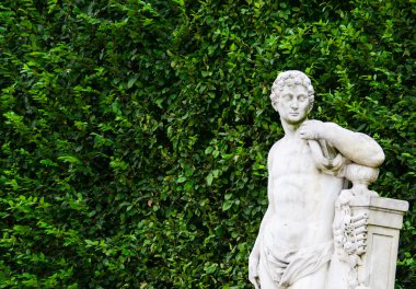 Viyana Avusturya - bahçe heykel Schonbrunn Sarayı