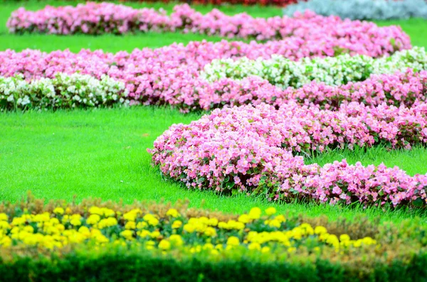 A gyönyörű virágos kerttel, a Schönbrunni kastély - Bécs Ausztria — Stock Fotó