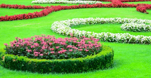 Hermoso jardín de flores en el palacio Schonbrunn - Viena Austria —  Fotos de Stock