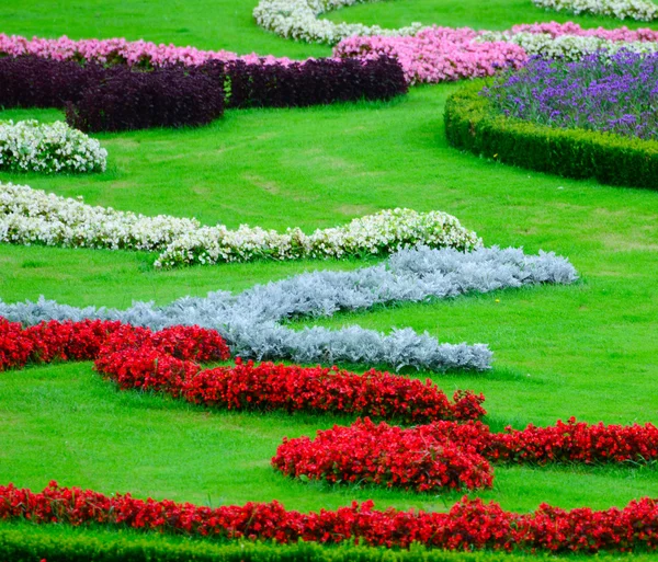 Krásná květinová zahrada v schonbrunn palace - Vídeň Rakousko — Stock fotografie