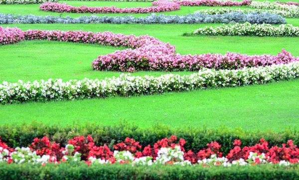A gyönyörű virágos kerttel, a Schönbrunni kastély - Bécs Ausztria — Stock Fotó
