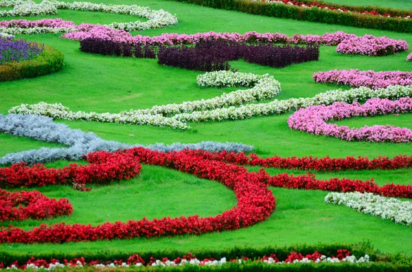 Belo jardim de flores em Schonbrunn palácio - Viena Áustria — Fotografia de Stock