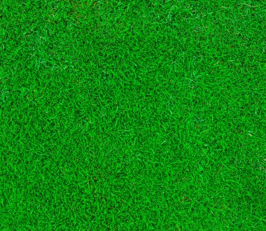 Green grass bacdrop clipart