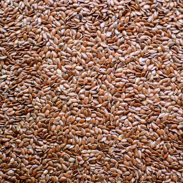 Fondo de semillas de lino — Foto de Stock