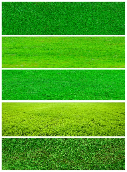 Grass collage — Stock Photo, Image