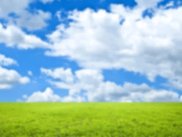 Krásné zelené pole a modré nebe — Stock fotografie
