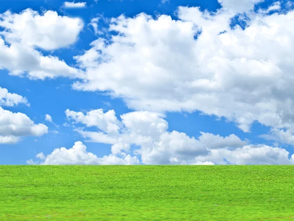 Gyönyörű zöld mezőben és kék ég - természetes tájkép — Stock Fotó