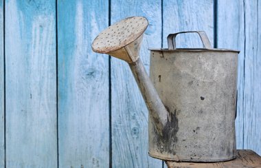 Old watering can on wooden background clipart