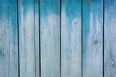 Wood painted blue closeup clipart