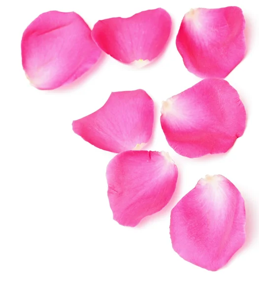 Frontera de pétalos de rosa —  Fotos de Stock