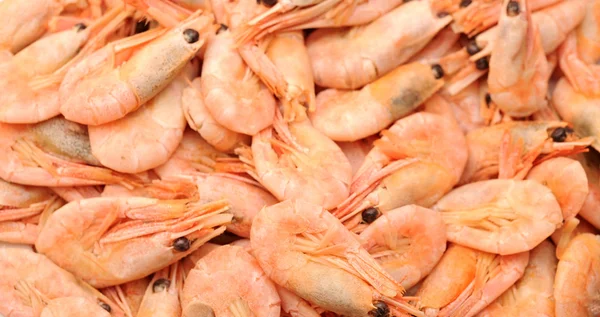 Gros plan sur les crevettes sur une place de marché — Photo