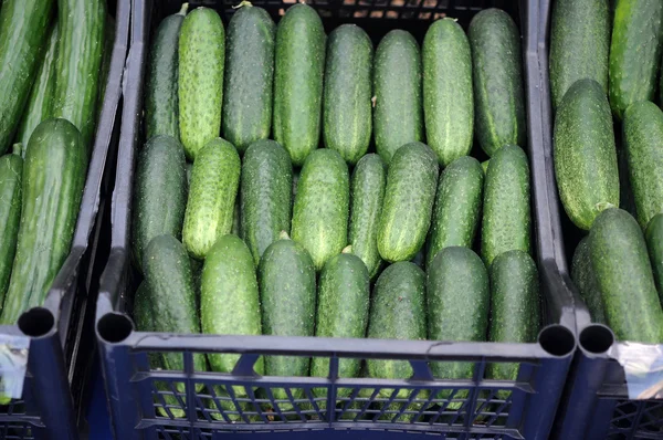 stock image Ripe cucumbers in shop in a box