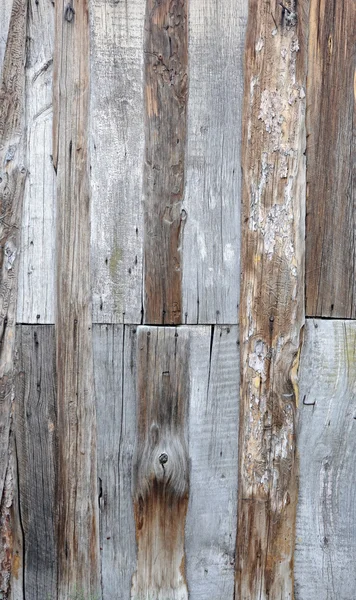 Τοίχου από ξύλο υφή — Φωτογραφία Αρχείου