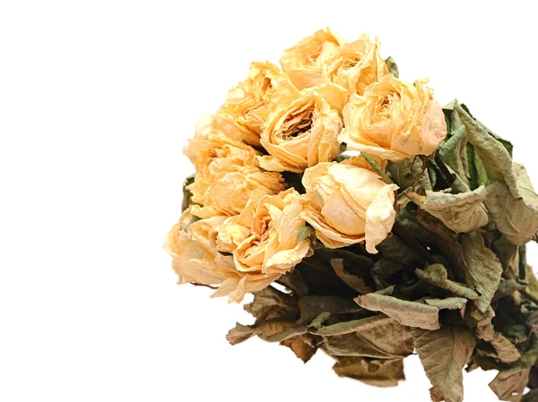 Zvadlá růže kytice — Stock fotografie