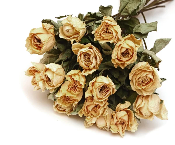Strauß getrockneter Rosen Blumen auf weißem Grund — Stockfoto