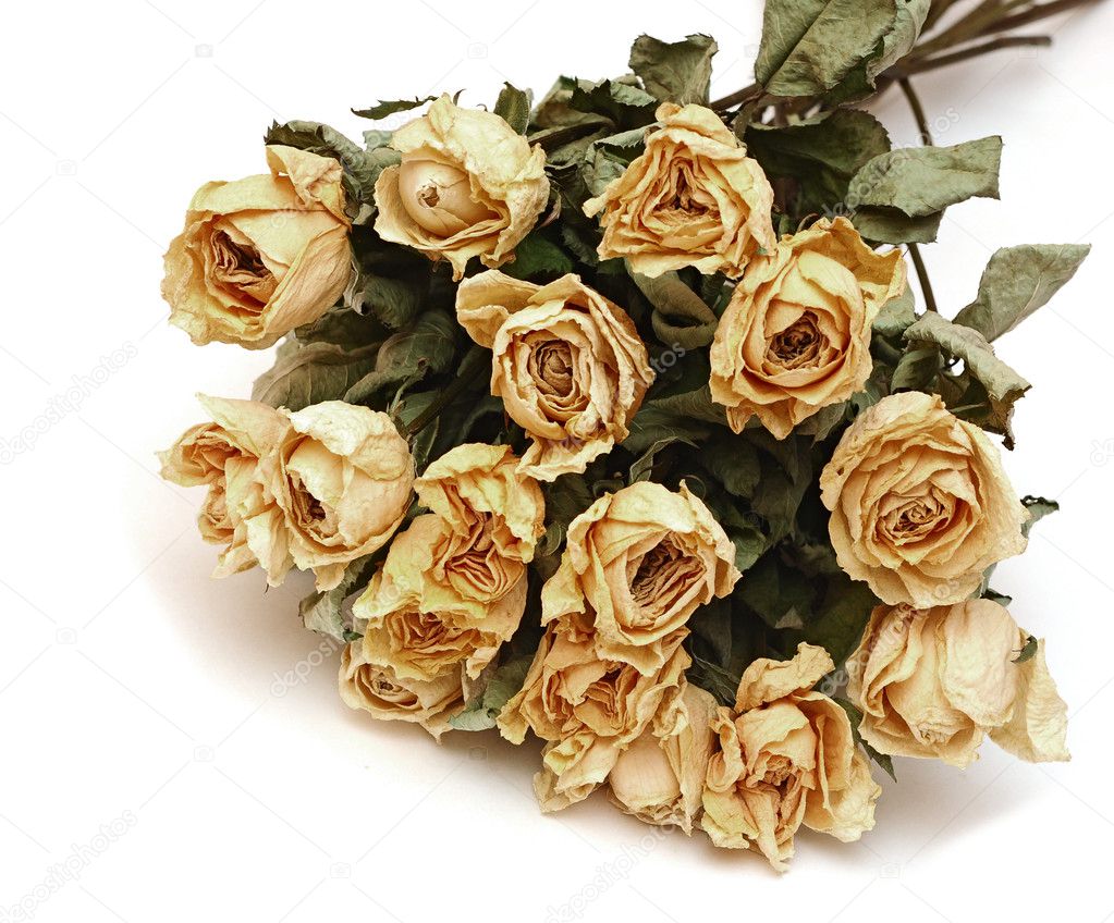 Bouquet of dried roses flowers on white