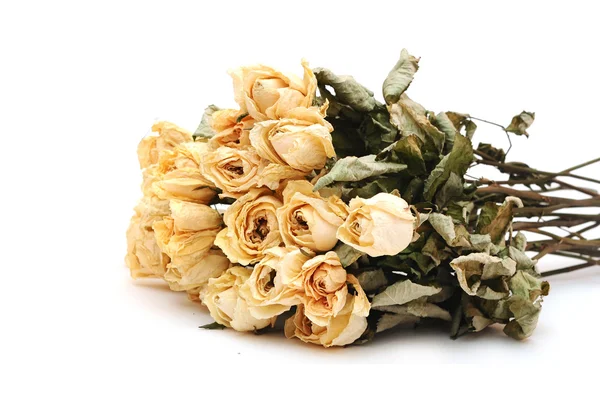 Rose secche su fondo bianco — Foto Stock