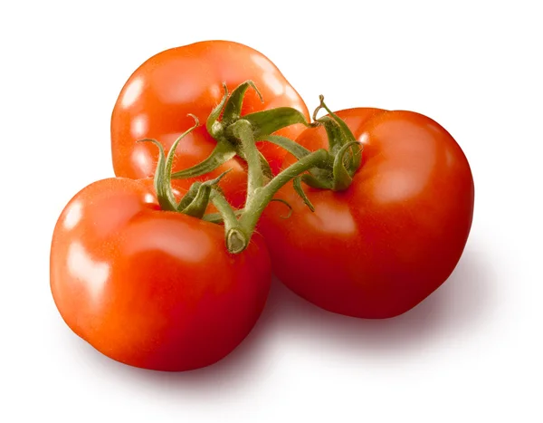 3 помидора — стоковое фото