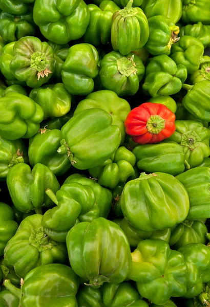 Organiczny papryka pieprz zielony i czerwony — Zdjęcie stockowe