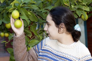 limon ağacı ile kız