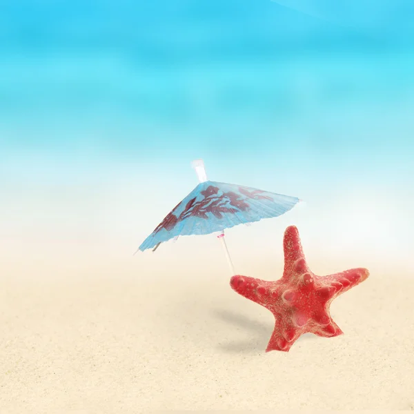 Rozgwiazda czerwona na plaży. — Zdjęcie stockowe