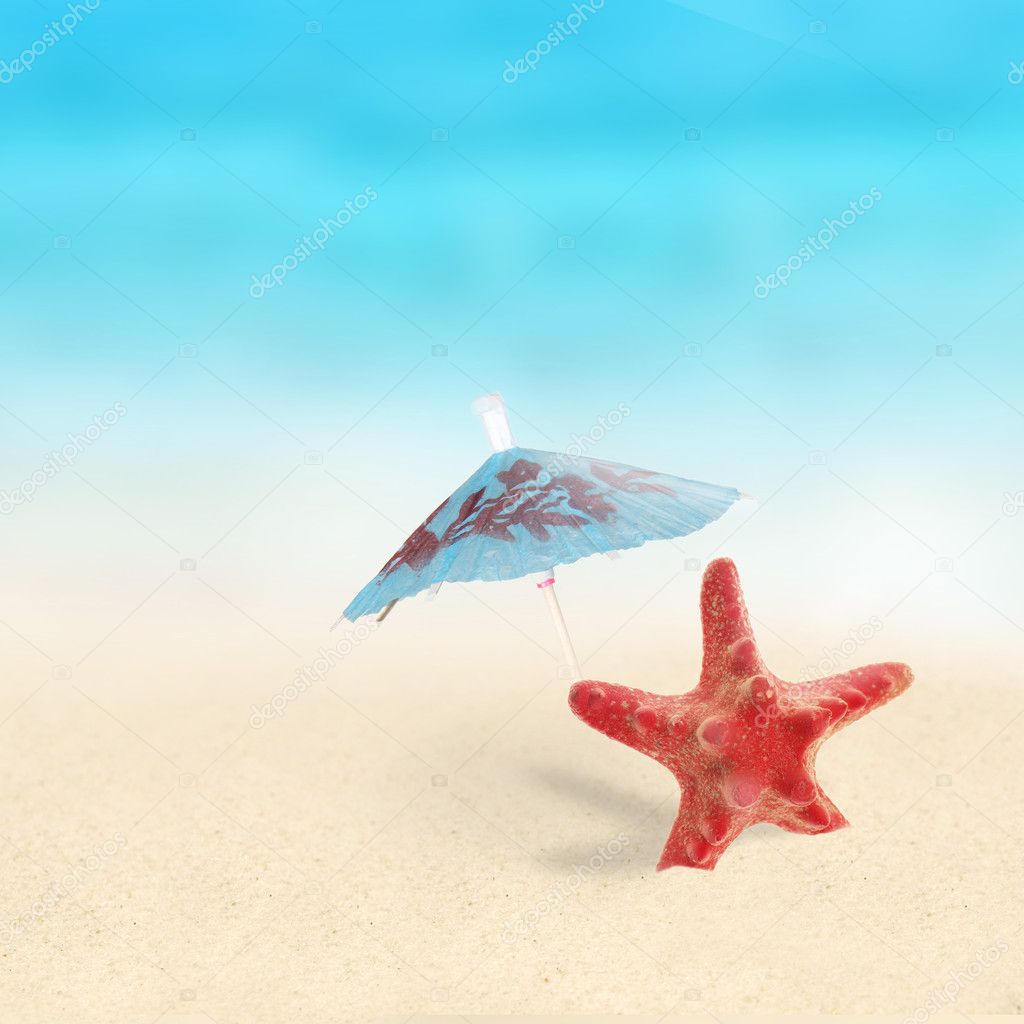 Red Starfish on the Beach.