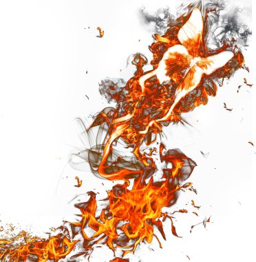 Fire butterfly on white clipart