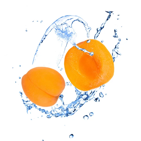 Aprikose mit Wasserspritzer über Weiß — Stockfoto
