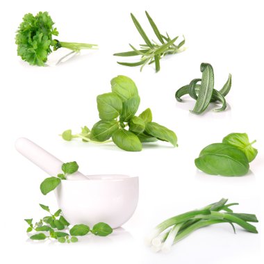 Fresh herbs collection clipart