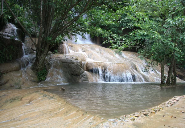 Тропический водопад — стоковое фото