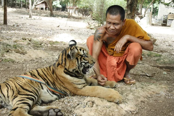 The Tiger Temple — Stock Photo, Image