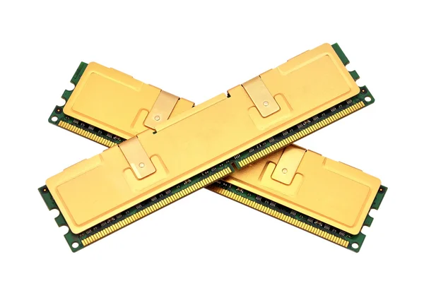 Two gold ram — Stock Photo, Image