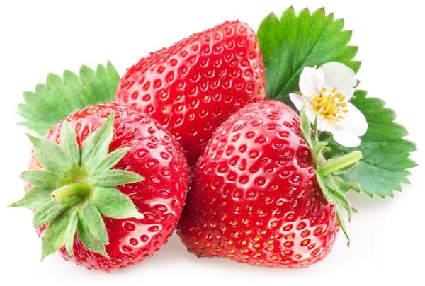 Ορεκτικές φράουλα. — Φωτογραφία Αρχείου