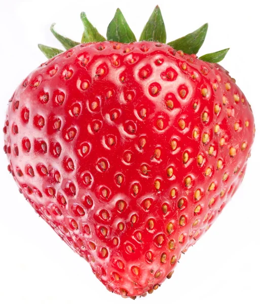 Appetitliche Erdbeere. — Stockfoto