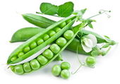 Pods of green peas with leaves