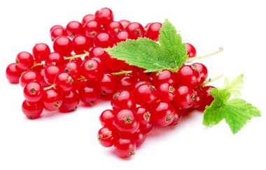 Bunch of red currants clipart